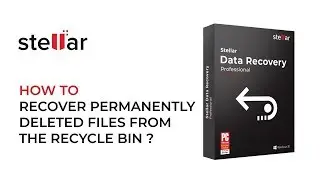 How to Recover Files Permanently Deleted From Recycle Bin?