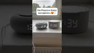 Маруся или Алиса? 😉 за кого голосуешь ты? 