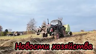 Будни МОЛОЧНИКА // Как кормим коров // Приводим поля в порядок // Урожай тыквы // Новости хозяйства