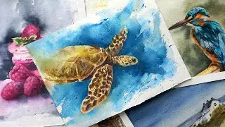 Рисуем черепаху акварелью - лёгкий акварельный скеч! Мастер - класс по акварели для взрослых и детей