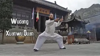 Wudang Xuanwu Quan 武当玄武拳