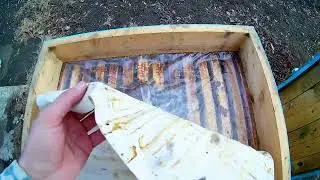 Весенняя белковая подкормка для пчёл