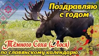 🫎 С годом Тёмного Соха (Лося) по славянскому календарю! 🌺 20 марта 2024! 🌸 Красивое поздравление