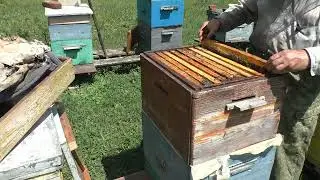 слабыш накануне главного взятка.