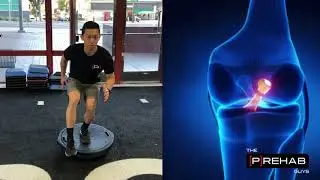 BOSU Single Leg Stability for ACLr