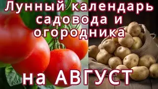 🍅ЛУННЫЙ ПОСЕВНОЙ КАЛЕНДАРЬ 🌙САДОВОДА И ОГОРОДНИКА НА АВГУСТ🌕