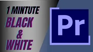 How to Fade Black And White in Adobe Premier Pro CC 2024| 