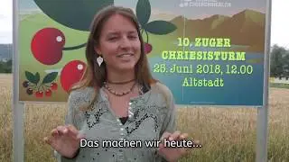 Der Zuger Chriesisturm