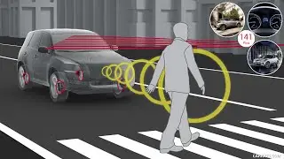 CSE 3093Y Pedestrian Detection & Classification using Bayes Minimum Risk