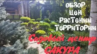 Садовый центр сакура