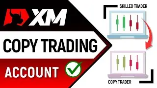 ✅ How to Create XM Copy Trading Investor Account - 2024