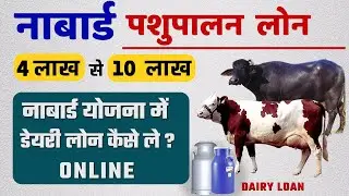 नाबार्ड पशुपालन डेयरी लोन 2025 | डेयरी फार्म लोन लेने के लिए आवेदन कैसे करें | NABARD Dairy Loan