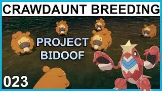 Breeding a Dragon Dance Crawdaunt! - Project Bidoof Part 23 - Pokemon Breeding Guide