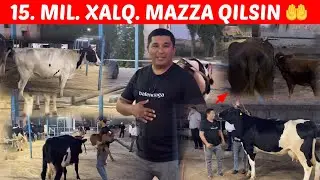 ARZONCHI AKANI JAXLI😡Chiqdi.15.Mil.Ga😲📞 991064444. 974120909