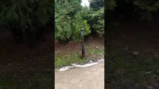 Сальск вандалы