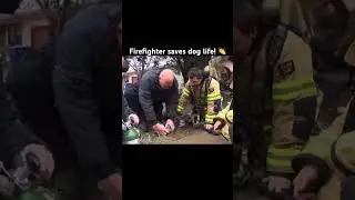 Firefighter saves dog life! 👏