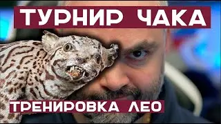 Вспышка и Леопард 1 / ТВП 50/51 / Центурион АХ. Тренировка к Турниру Чака - 6