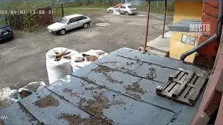 Подснежник вспыхнул из за детей