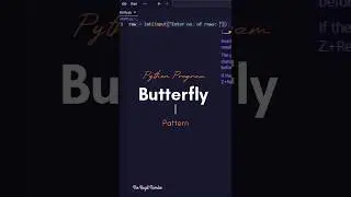 Butterfly pattern Question | Pattern program in python 