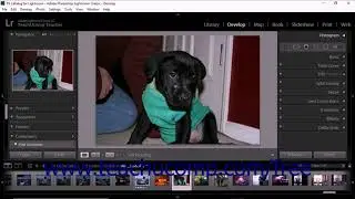 Lightroom Classic CC Tutorial The Develop Module Environment Adobe Training