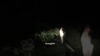 KALO GINI MAH TAMBAH NGIBRIT😭 