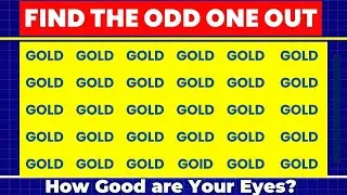 Find The Odd One Out | Investing Terms (Stocks, Trade, Gold, Forex ...)