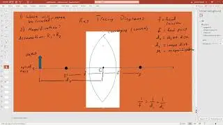 Ray Diagrams for Thin Lenses