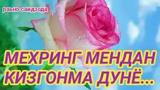 ДУСТИМ СИЗ УЧУН