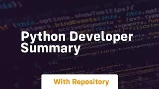 python developer summary