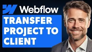 How to Transfer a Webflow Project to a Client Account (Full 2024 Guide)