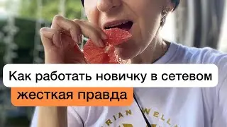 Как работать новичку в МЛМ / жесткая правда