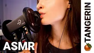 ASMR Deep Tongue Fluttering / Mouth Sounds / Scratching / Purring | Tangerin