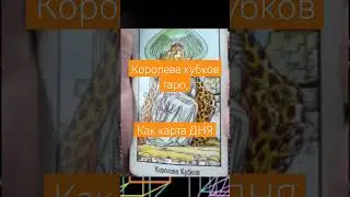 королева кубков таро значение. если королева кубков выиграла как карта дня. Мой ТГ t.me/tarosovett