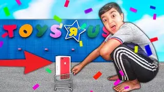 Anything You Fit In This TINY CART, I’ll Buy It! (TINY SHOPPING CART CHALLENGE!)