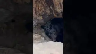 Когда твой друг - домосед 