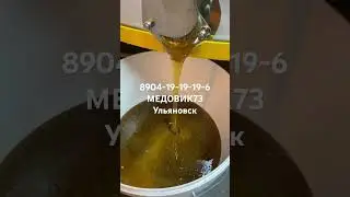 Первый цветочный мед сезон 2023 89041919196 Ильшат