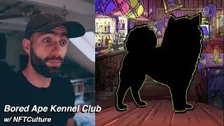 Bored Ape Kennel Club NFT Dog Overview and Launch