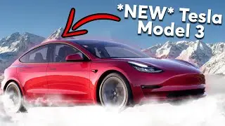 Finally Buying my DREAM Car! - 2021 Tesla Model 3