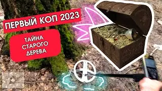 Первый коп 2023!!! куча монет! Что скрывают в себе корни старого дерева! Nokta Makro Legend! XP ORX!