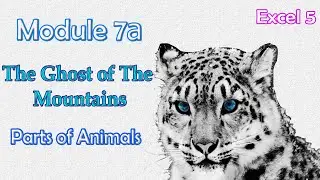 Excel 5 grade Module 7a, The Ghost of the Mountains, Parts of animals