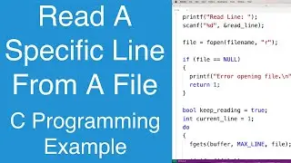 Read A Specific Line From A File | C Programming Example