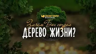 Зачем Бог создал дерево жизни? | 