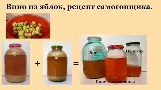 Вино из яблок, рецепт самогонщика.