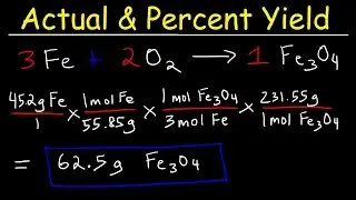 How To Calculate The Percent Yield and Theoretical Yield