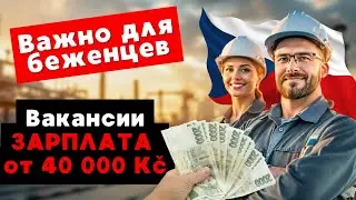 🔥Хочешь остаться в Чехии? Эти вакансии дадут тебе ВНЖ!