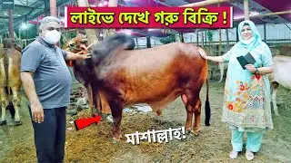 পরিবার সহ ঈদের গরু কিনতে এসে একি হল !!! Saara Agro । Eid Ul Adha 2021