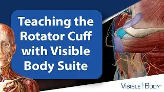 Teaching the Rotator Cuff with Visible Body Suite