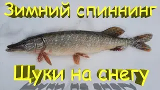 🔥 ЩУКИ НА СНЕГУ и ДЖИГ в декабре. ЗИМНИЙ СПИННИНГ на Manns Predator и Relax Kopyto 🔥