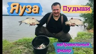 Рыбалка на Яузском водохранилище 2020г. Пудыши. Фидерная рыбалка.