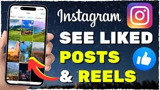 How to See Liked Posts & Reels on Instagram (2024)